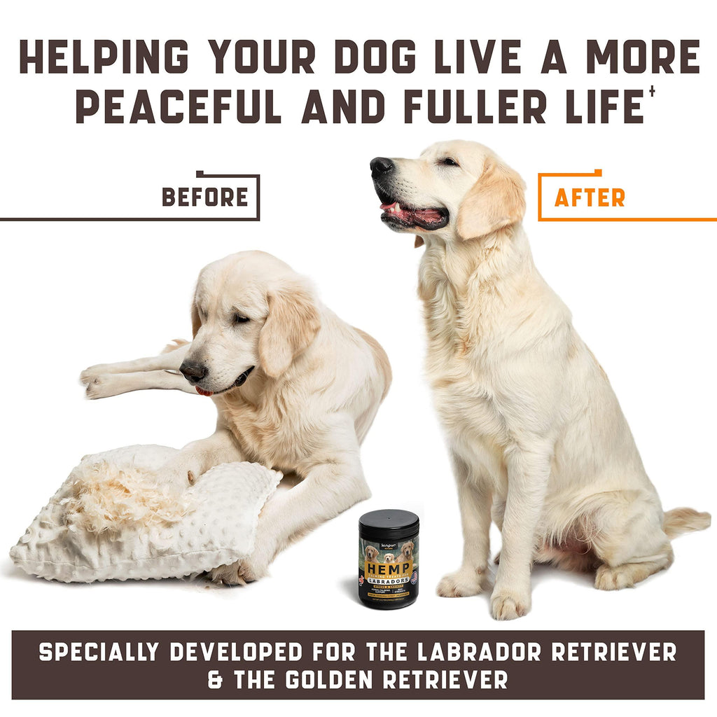 Dogs with Valerian Root and Hemp Oil