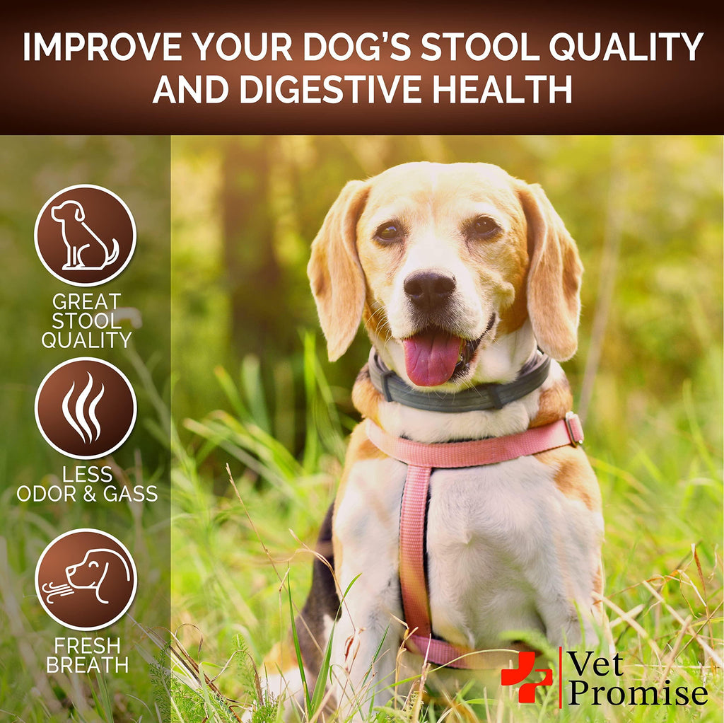 Great Poop Probiotics for Dogs