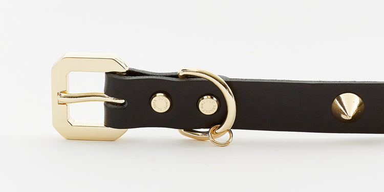 Premium  Golden Spike Black Collar