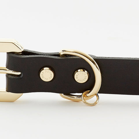 Premium  Golden Spike Black Collar