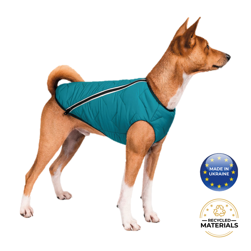 Sustainable Eco-Friendly Dog Jacket