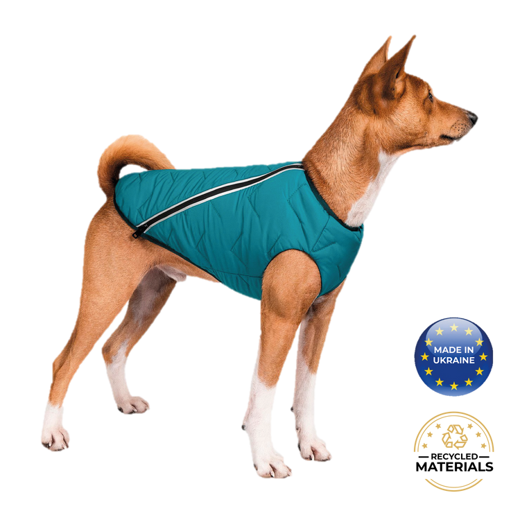 Sustainable Eco-Friendly Dog Jacket