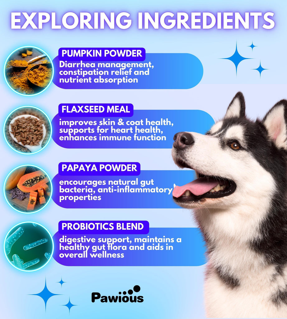 Probiotics for Dogs