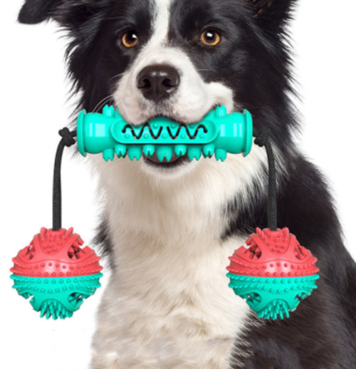 Dog Chew Toy &  Toothbrush