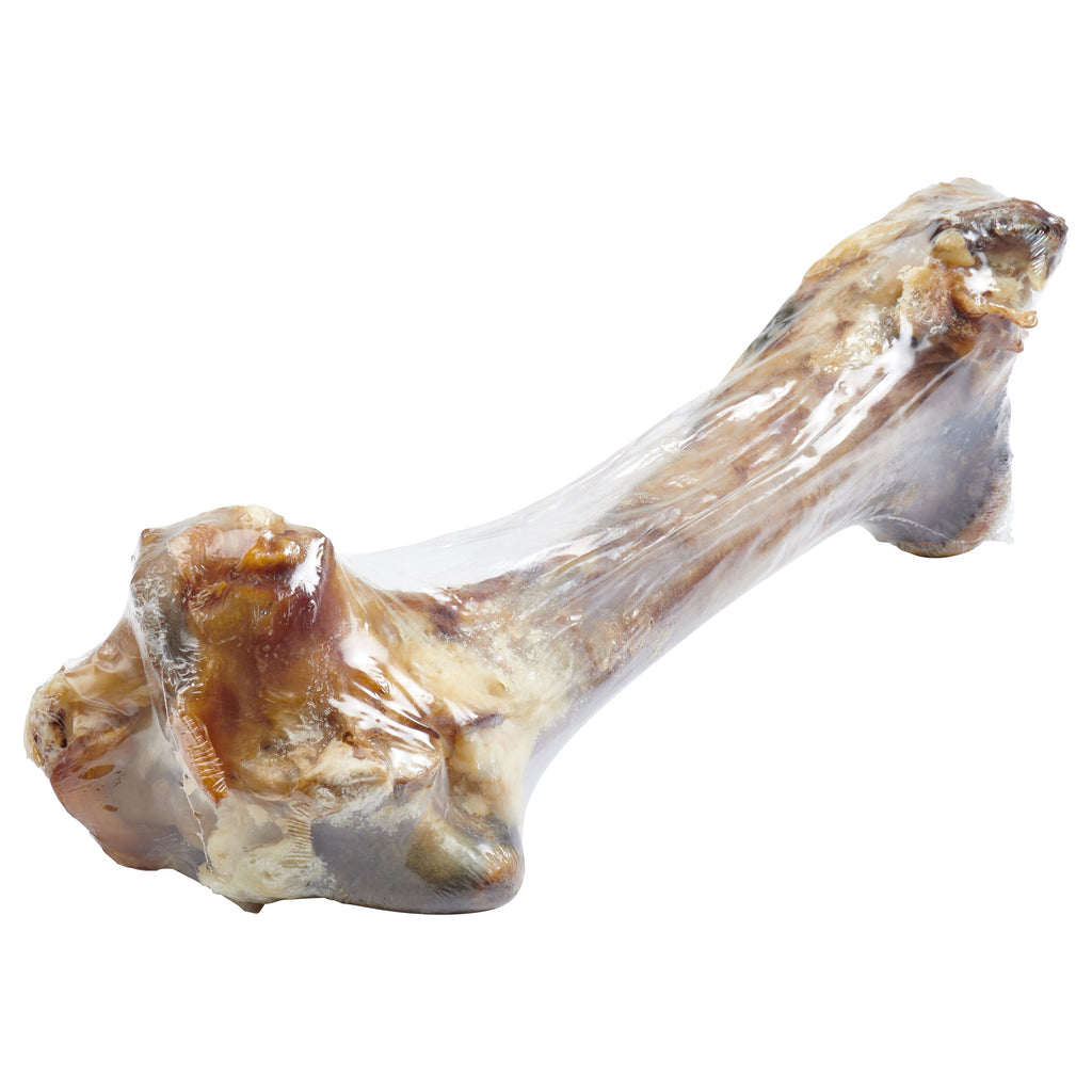 Grass-Fed Beef Femur Bone for Large Dogs