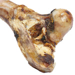 Grass-Fed Beef Femur Bone for Large Dogs