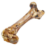 Grass-Fed Beef Femur Bone for Large Dogs