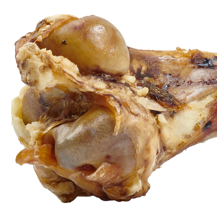 Grass-Fed Beef Femur Bone for Large Dogs