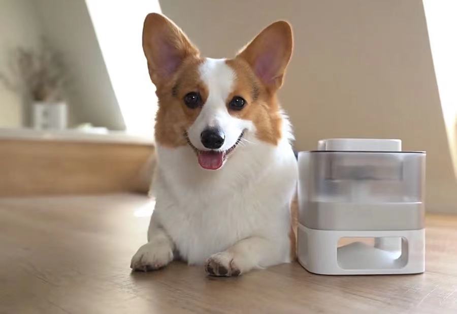 Interactive Pet Leaking Food Feeder