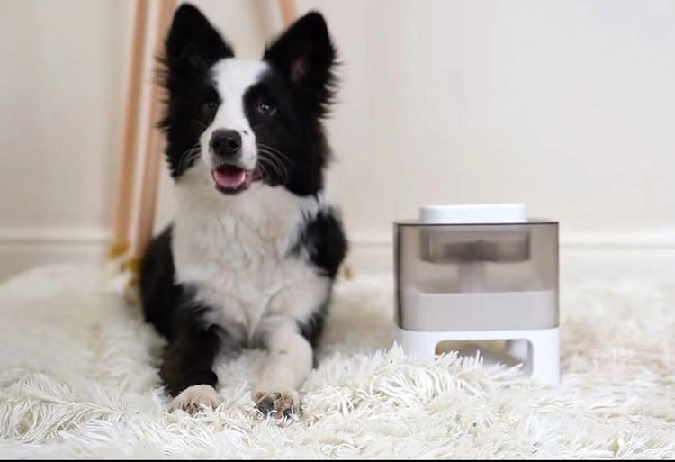 Interactive Pet Leaking Food Feeder