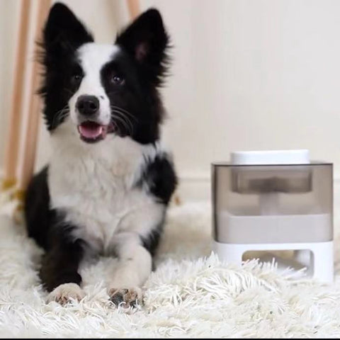 Interactive Pet Leaking Food Feeder