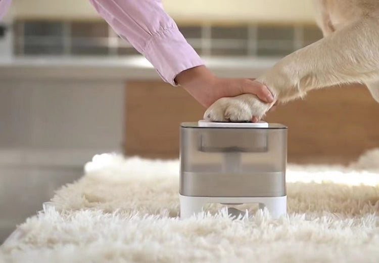 Interactive Pet Leaking Food Feeder