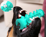 Dog Chew Toy &  Toothbrush