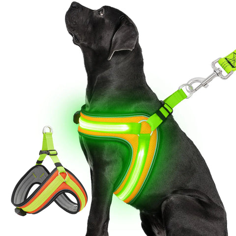 LED Glow Dog Harness