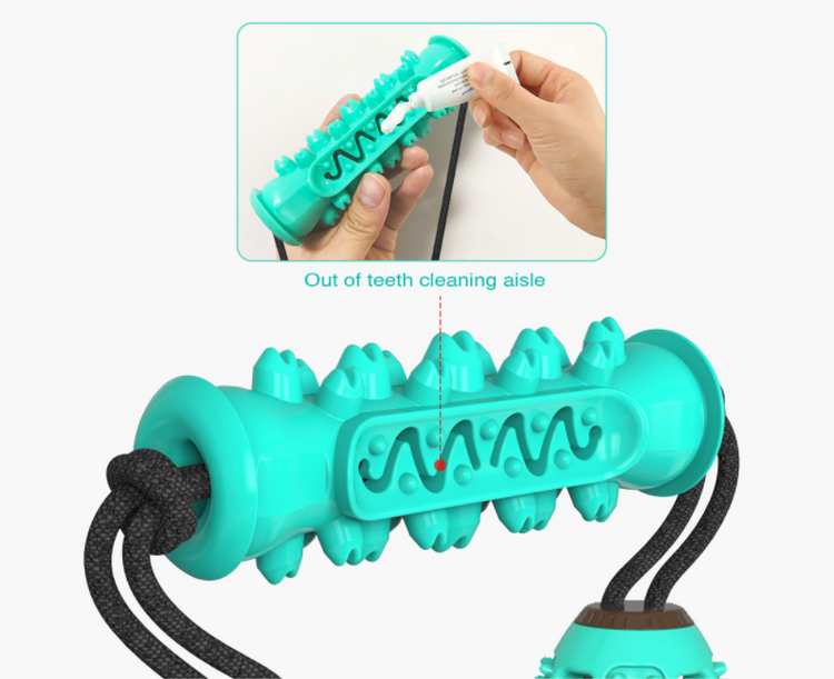 Dog Chew Toy &  Toothbrush