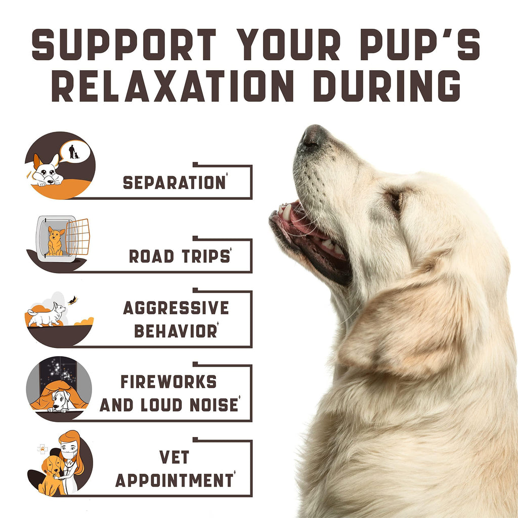 Pet Care Calming Chews for Dogs