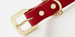 Premium  Golden Spike Red Collar