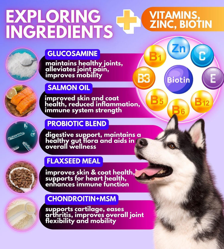 Dog Vitamins and Supplements