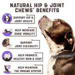 Glucosamine Hip & Joint Chews