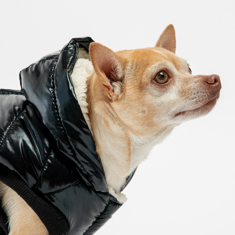 Emma Dog Jacket