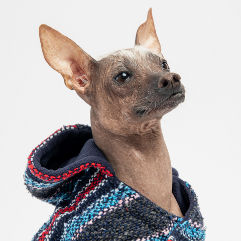 Baja Dog Poncho