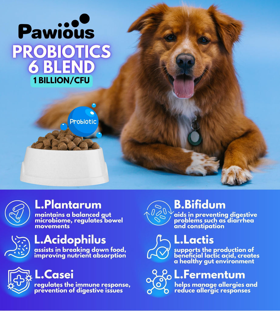 Probiotics for Dogs