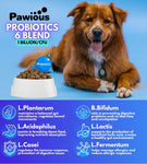 Probiotics for Dogs