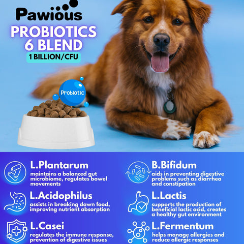 Probiotics for Dogs