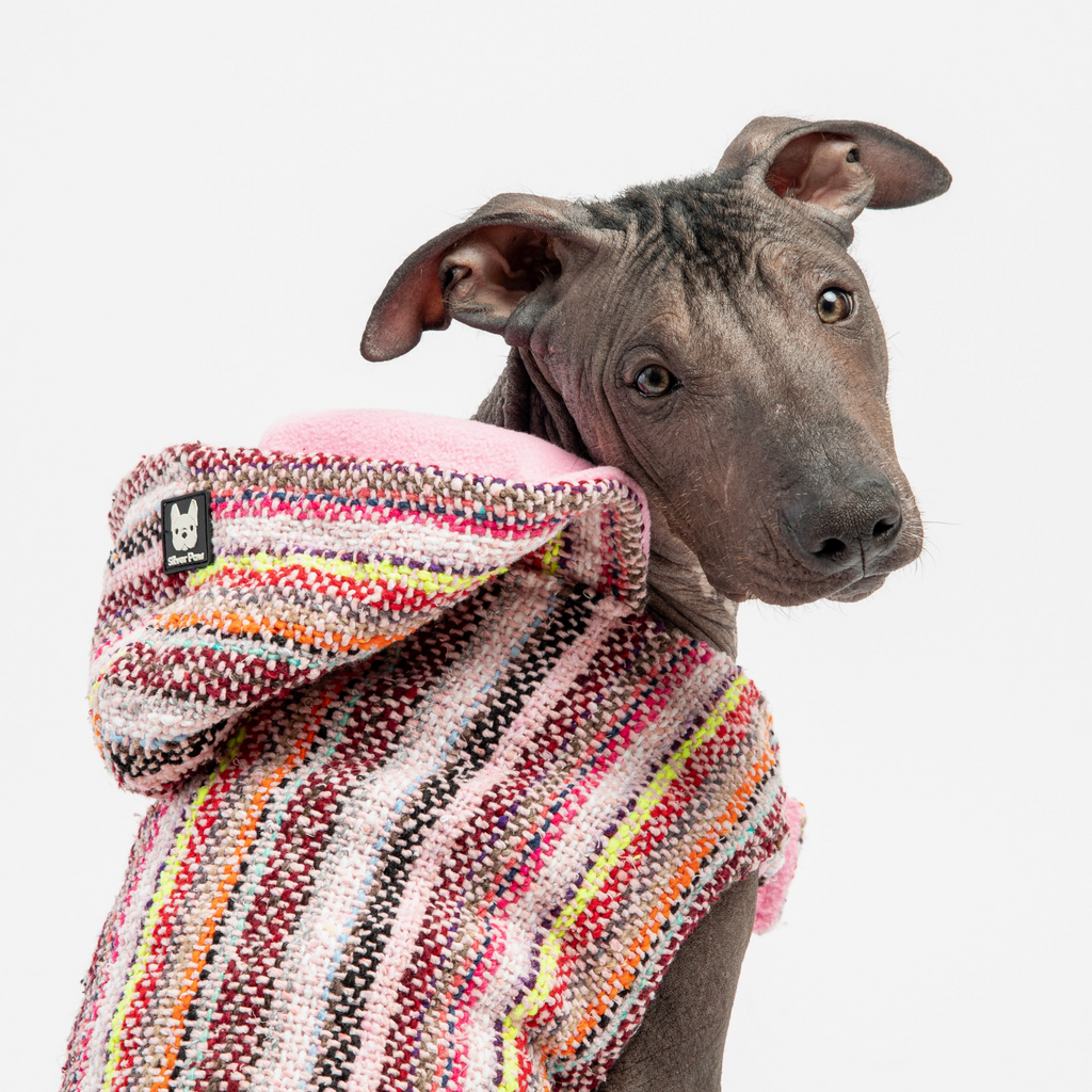 Dog Pink Poncho