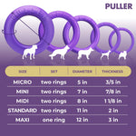 PULLER Outdoor Dog Ring Toy