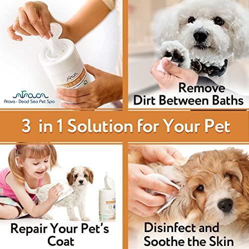 Dog Grooming with Chlorhexidine &  Silk