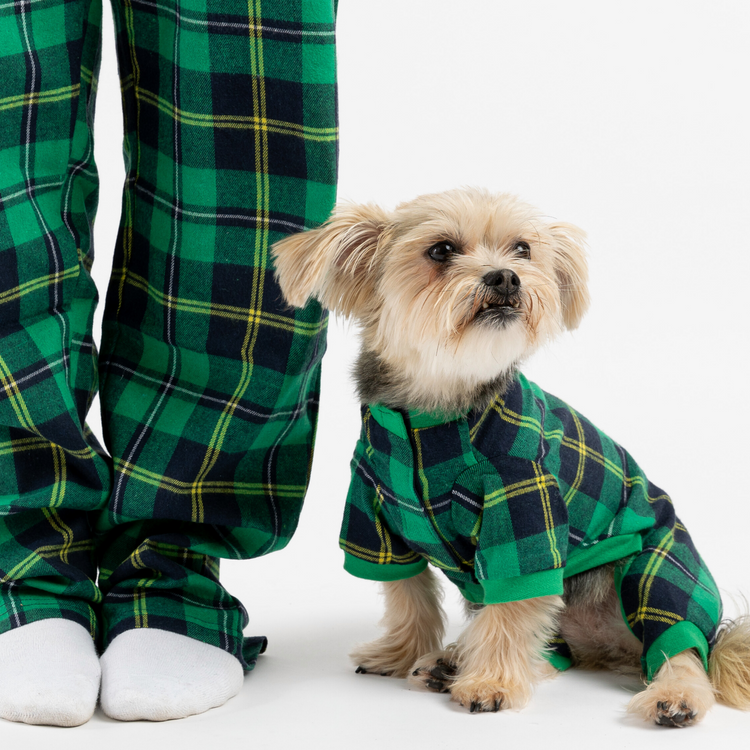 Dog Green Pajama