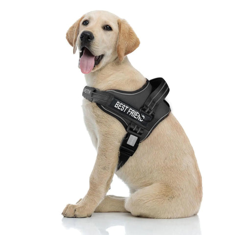 No Pull Dog Harness