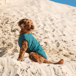 Sustainable Eco-Friendly Dog Jacket