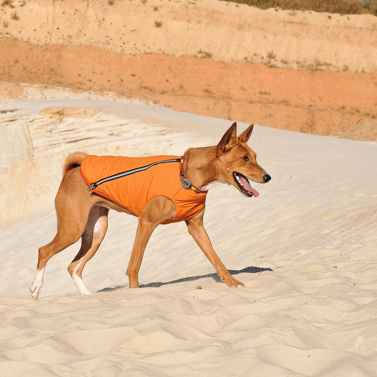 Sustainable Eco-Friendly Dog Jacket