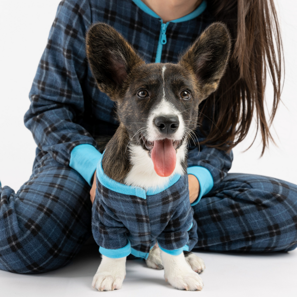 Dog Blue Pajama