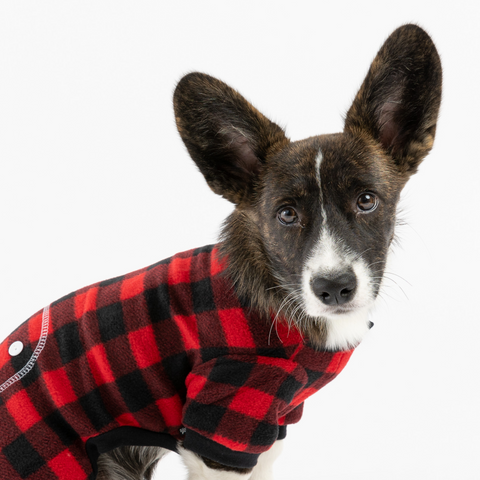 Dog Red Pajama