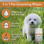 Dog Grooming with Chlorhexidine &  Silk