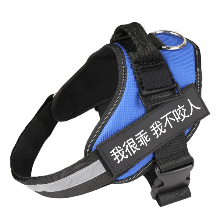 Personalized No Pull Harness