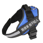 Personalized No Pull Harness
