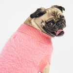 Dog Pink Sweater