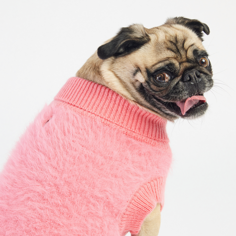 Dog Pink Sweater