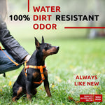 Dog  Waterproof Harness