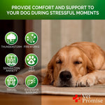 Hemp Calming Chews for Dogs