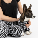 Dog Zebra Pajama