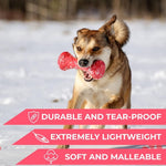 Dumbbell Dog Fetch Toy