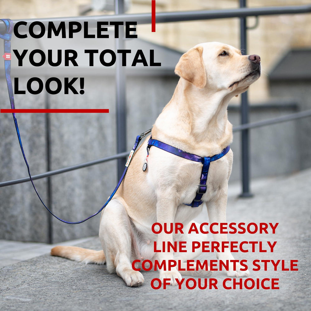 Dog Leash for Small & Medium Dogs