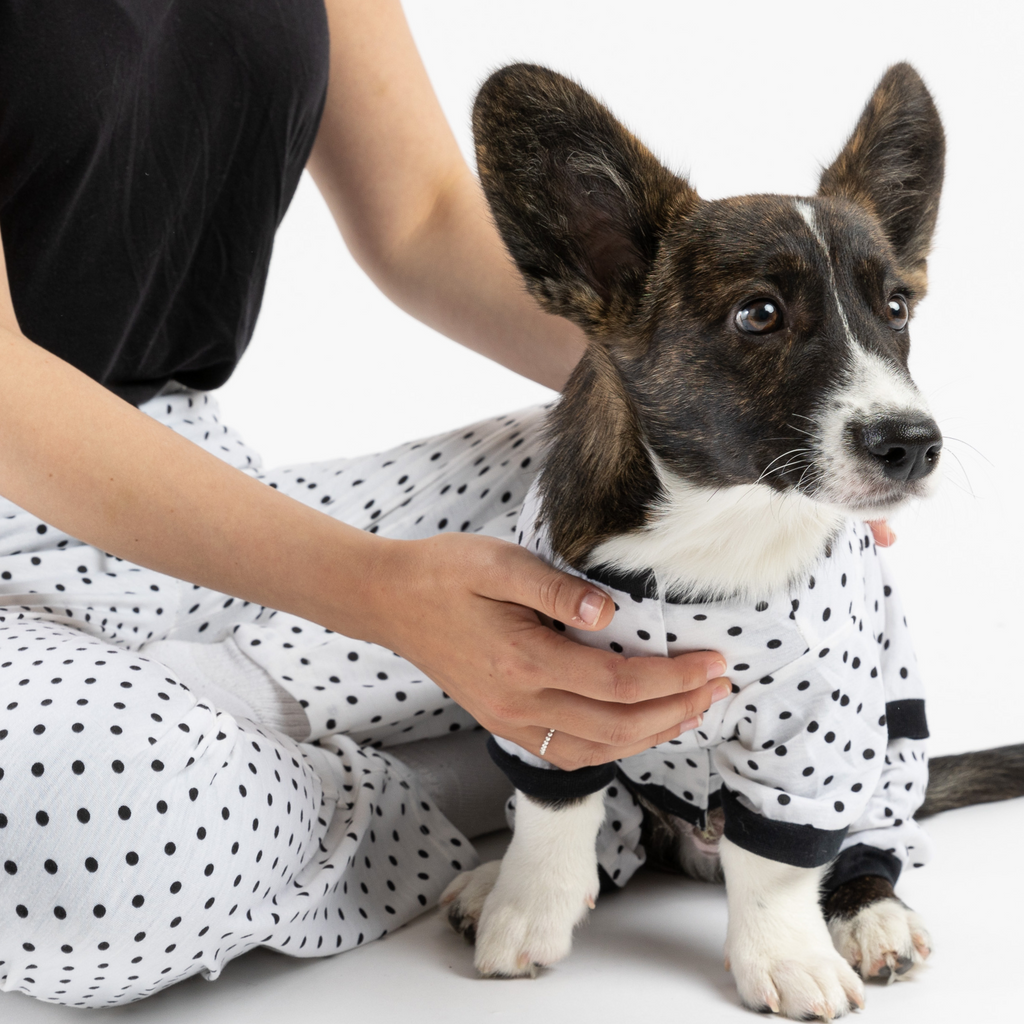 Dog  Polka Pajama