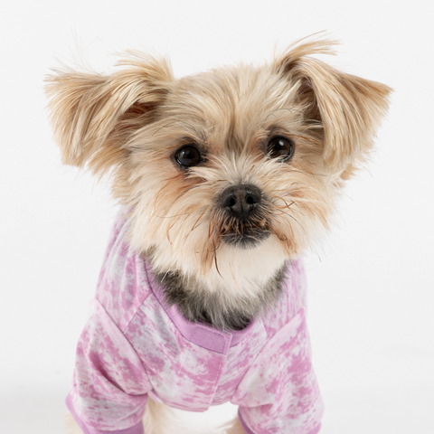 Dog Pink Pajama