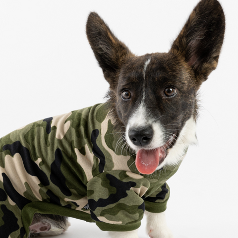 Dog Camo Pajama